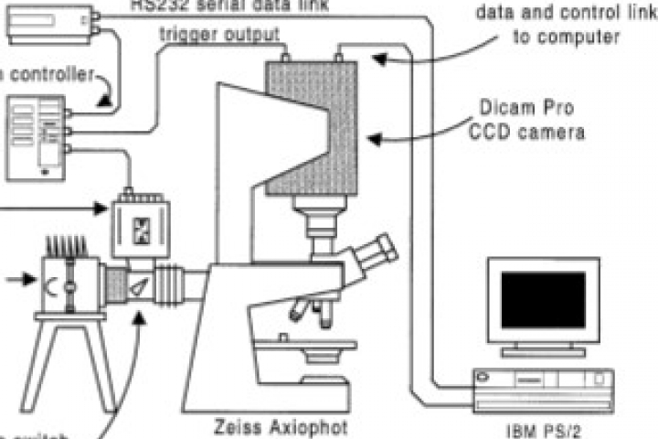 Layout of the instrumentation used in the time-resolved £uorescence microscope.